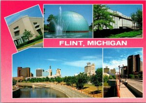 Michigan Flint Multi View