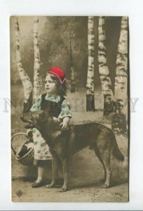 431957 Fairy tale Little Red Riding Hood gray wolf collage a girl a dog tinted 