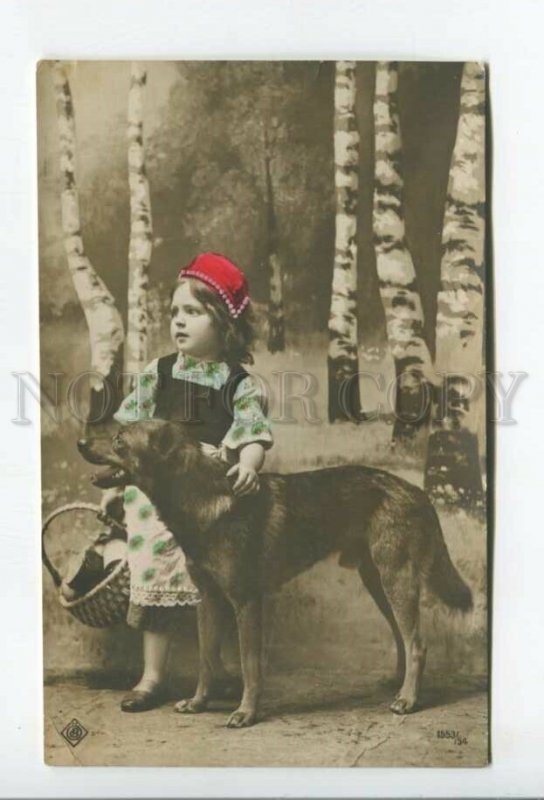 431957 Fairy tale Little Red Riding Hood gray wolf collage a girl a dog tinted 