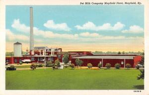 Pet Milk Company Mayfield Plant  Kentucky Antique Postcard L484