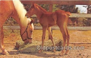 Baby Free Lance Photographers Guild, Inc Unused 