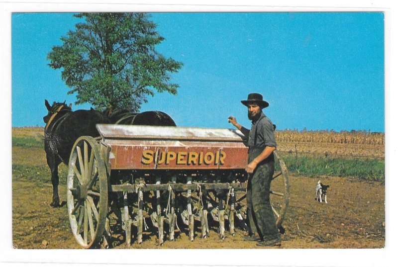 Amish Farmer Superior Planting Equipment Pennsylvania Dutch Country Postcard