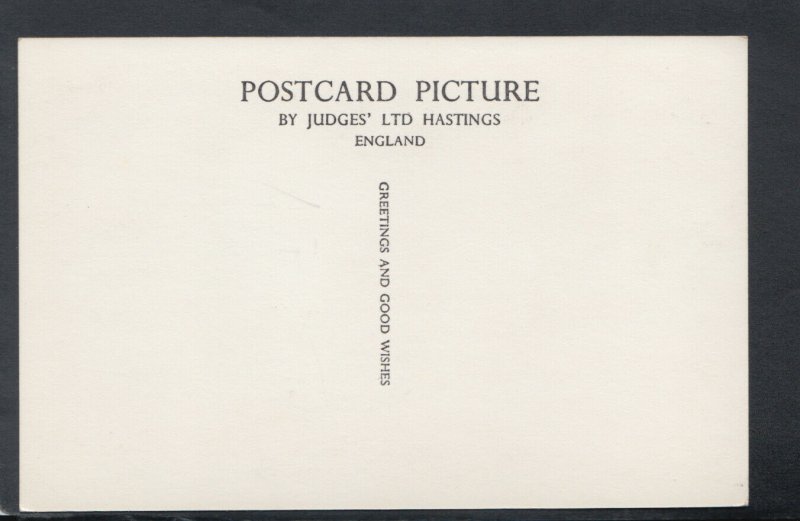 Co Durham Postcard - Views of Barnard Castle    RS18502