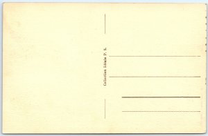 c1910s Algiers, Algeria Admiralty Harbor Downtown Birds Eye Port Steamships A338