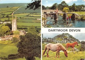 uk44989 dartmoor devon uk