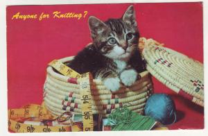 P445 JLs postcard 1967 a kitten anyone for knitting sewing basket