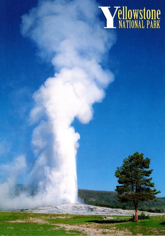 Yellowstone National Park Old Faithful Geyser