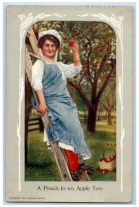 1910 A Peach In An Apple Tree Girl Picker Fruit Ladder Humor Antique Postcard