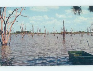 Pre-1980 NATURE SCENE Tallahassee Florida FL AD6426