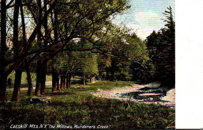 New York Catskills Murderers Creek The Willows