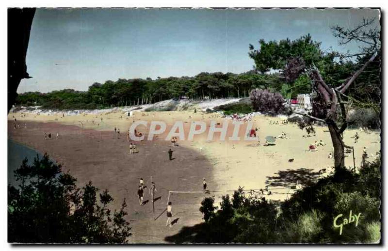 Saint Brevin pine Modern Postcard Beach at needle (volleyball volleyball)