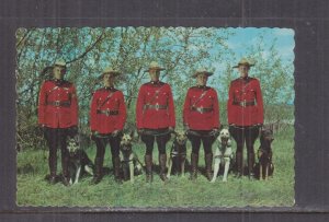 CANADA, ROYAL CANADIAN MOUNTED POLICE & THEIR DOGS, c1950 ppc., unused.