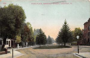 Lebanon Pennsylvania~Park Place @ Chestnut Street~Dog on Corner~1909 Postcard