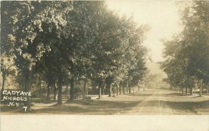 Cady Avenue C-1905 Nichols New York Tioga County RPPC Photo Postcard 20-3779
