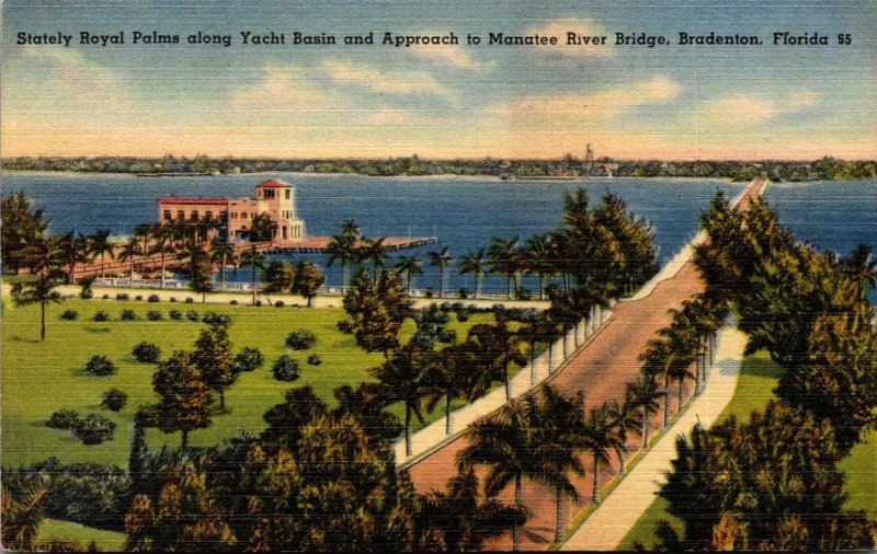 Florida Bradenton Stately Royal Palms Along Yacht Basin and Approach To Manat...