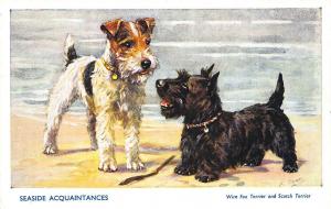 Scottie Terrier & Wire Fox Terrier M. Gear Seaside Acquaintances Post Card