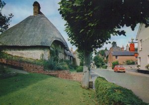 Hampshire Postcard - 16th Century Thatched Cottages, Selborne, Nr Alton RR9200