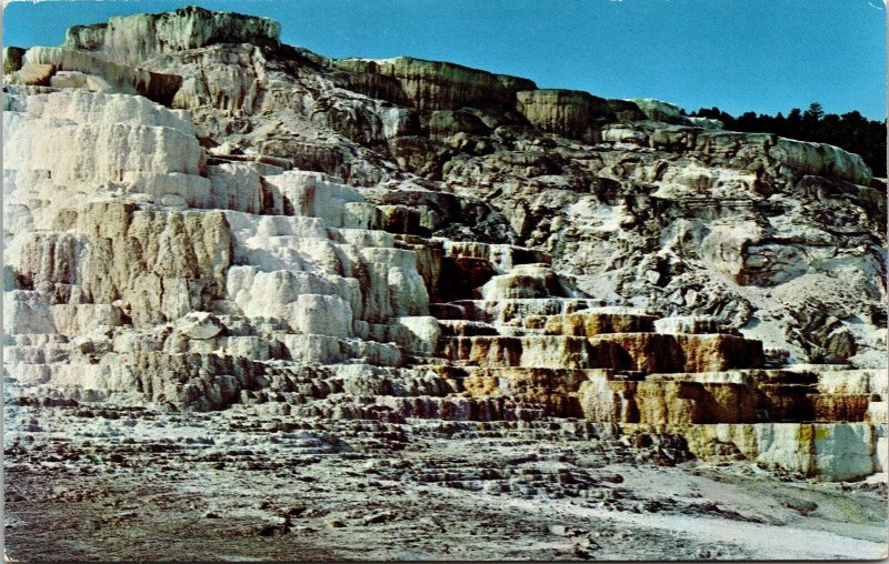 Minerva Terrace Yellowstone National Park Wyoming Scenic Chrome Postcard 