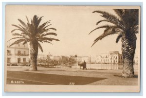 c1920's View Of Two Palms Bizerta Tunisia RPPC Photo Unposted Vintage Postcard 