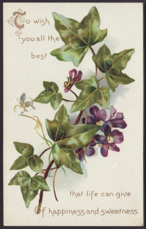 To Wish You All The Best,Ivy Postcard