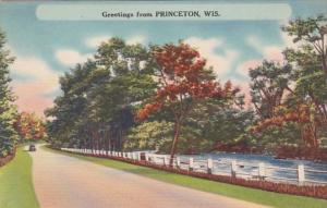 Wisconsin Greetings From Princeton