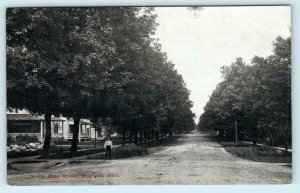 RPPC  WAYLAND, Michigan MI  - NORTH MAIN STREET Scene ca 1910s  Postcard