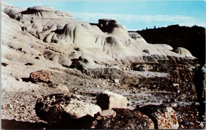 Big Knife Provincial Park Alberta Badlands Battle River Coulees Postcard E99