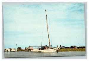 Vintage 1960's Postcard Skipjack Sailboat Harbor Ewell Smith Island Maryland