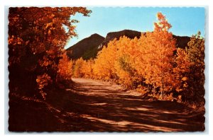 Postcard Autumn in the Rockies on Gold Camp Road near Cripple Creek CO 1970 A32