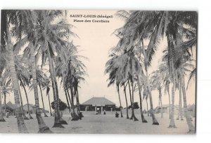 Saint Louis Senegal Postcard 1901-07 Place des Cocotiers Square of Coconut Trees