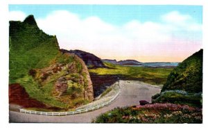 Nuuanu Pali Vintage White Border Honolulu Hawaii Postcard