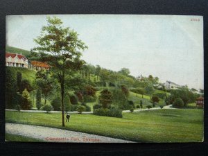 Wales SWANSEA Cwmdonkin Park c1908 Postcard by Hartmann