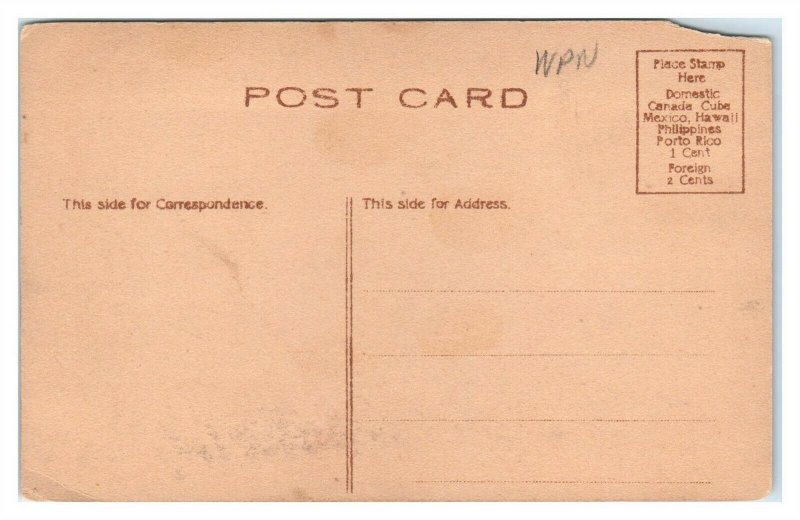 North Avenue, Owego, NY Postcard *6S9