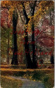 Scenic Woods, Greetings from New Holland OH c1908 Vintage Postcard D06