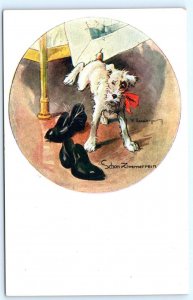 Artist F. Gareis SCHON ZIMMERREIN  Dog Pees in Shoe  Postcard