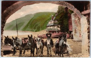 c1910s Clovelly Devon England Postcard We Are Seven Donkey Harbor Beach Frith UK