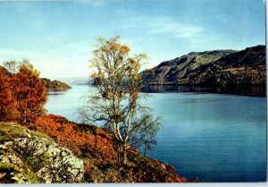 Loch Ness Inverness shire near Fort Augustus United Kingdom Postcard