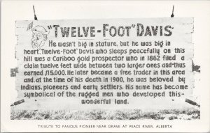 Twelve-Foot Davis Tribute Sign Peace River Alberta AB Unused Hanson Postcard F77