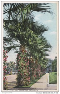 Palms and Geraniums, California, 10-20s