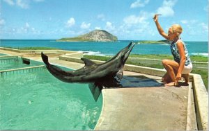 Postcard HI Sea Life Park, Makapuu Point Oahu Woman and porpoise