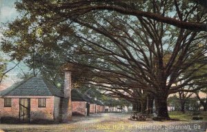 Black Americana,  c. 1908, Slave Huts at Hermitage, Savannah, GA, Old Postcard