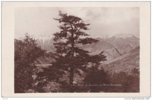 RP, Route De DELPHES - Le Pont Parnasse, Greece, 1920-1940s