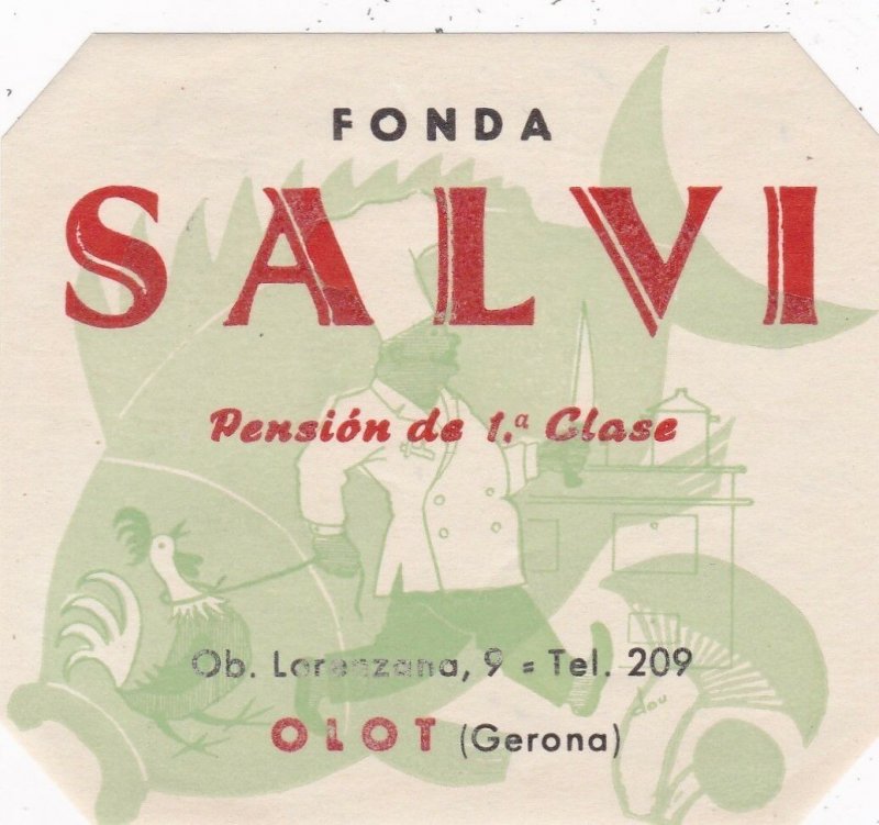 Spain Olot Gerona Pension Salvi Vintage Luggage Label sk4500