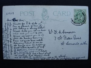 London EPPING FOREST Fairmead showing Horse & Carriage c1908 Postcard by W&K