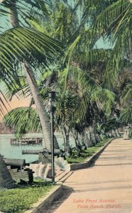 USA Lake Front Avenue Palm Beach Florida Vintage Postcard 07.49