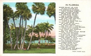 Vintage Postcard In Florida Palm Trees Poem By Emma Tharp Hale Lovely Sight 