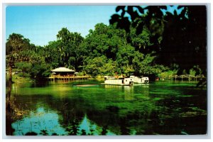 c1950's Rainbow Springs Passenger Boats Ferry Dunnellon Florida Vintage Postcard