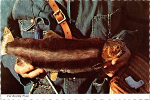 Fur Bearing Trout Montana POSTCARD PM 1970 to McDermott Billings MT