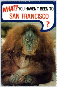 Postcard - What? You Haven't Been To San Francisco? - San Francisco, California