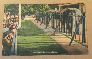 VINT 1950 USED PENNY LINEN POSTCARD LINCOLN PARK ZOO, CHICAGO, ILL.